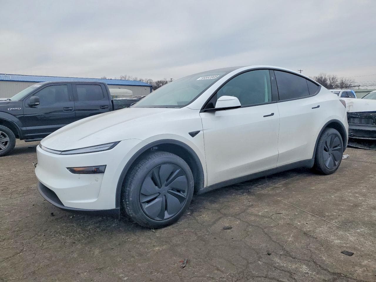 MODEL Y