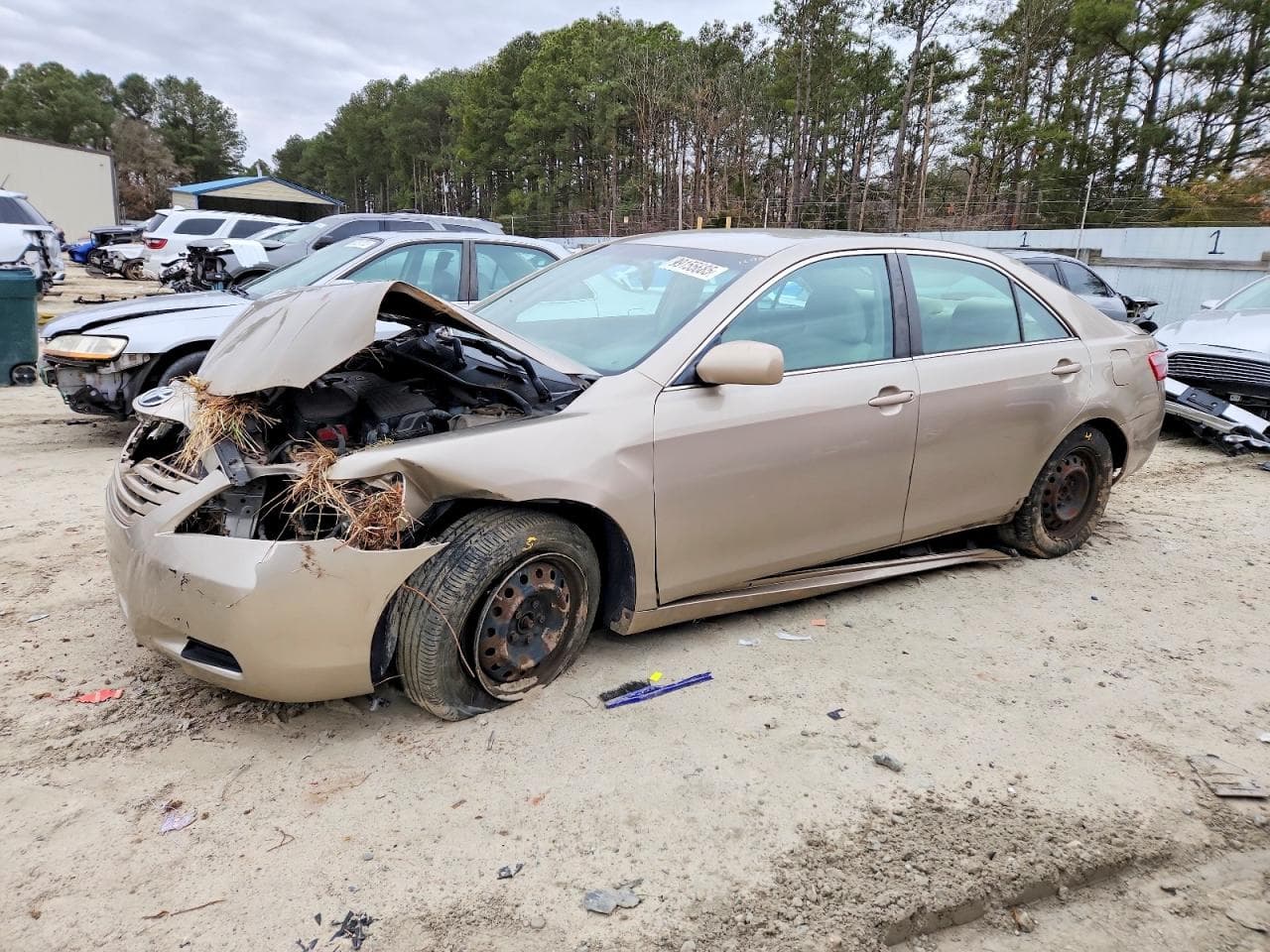 CAMRY