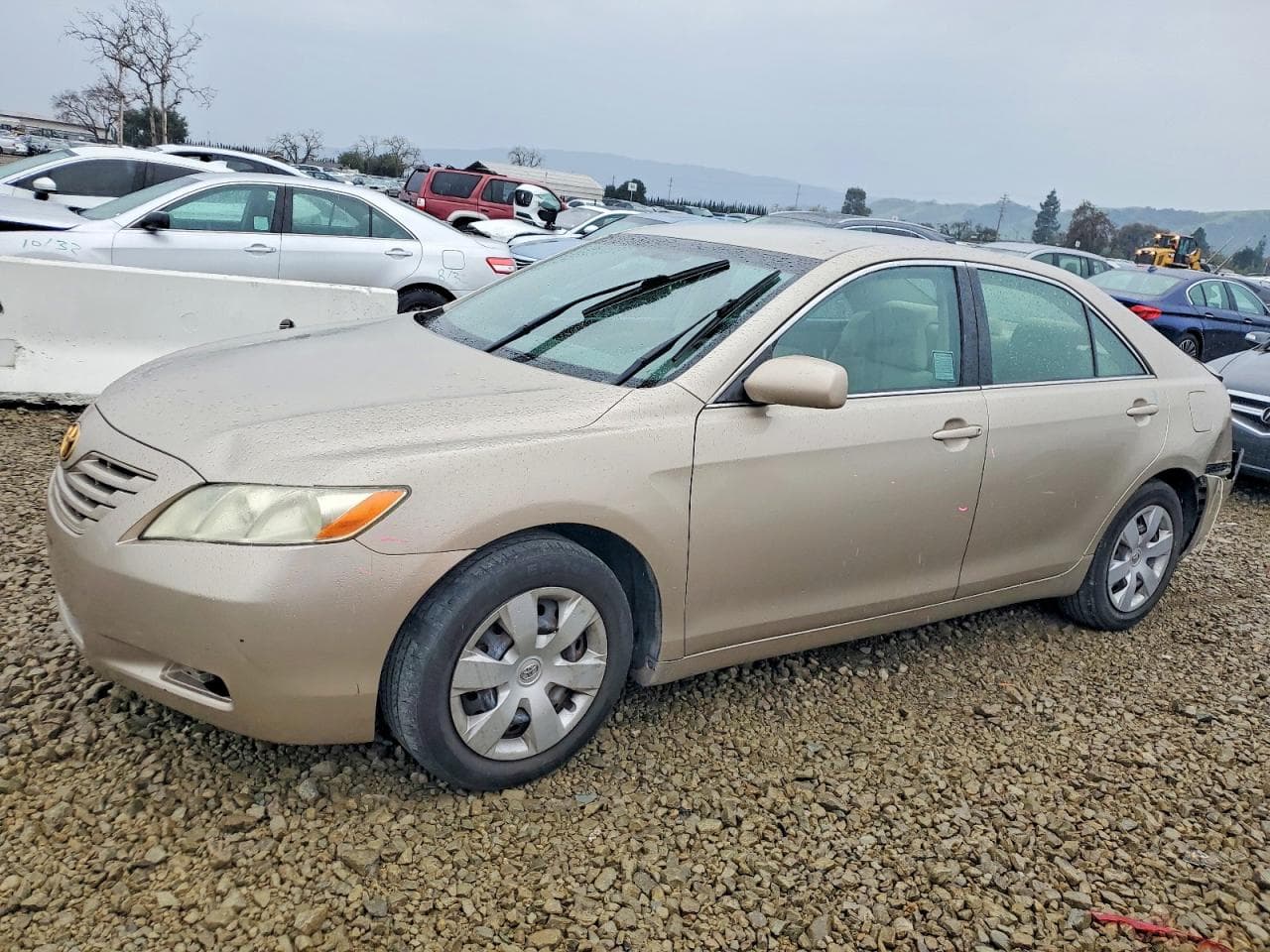 CAMRY