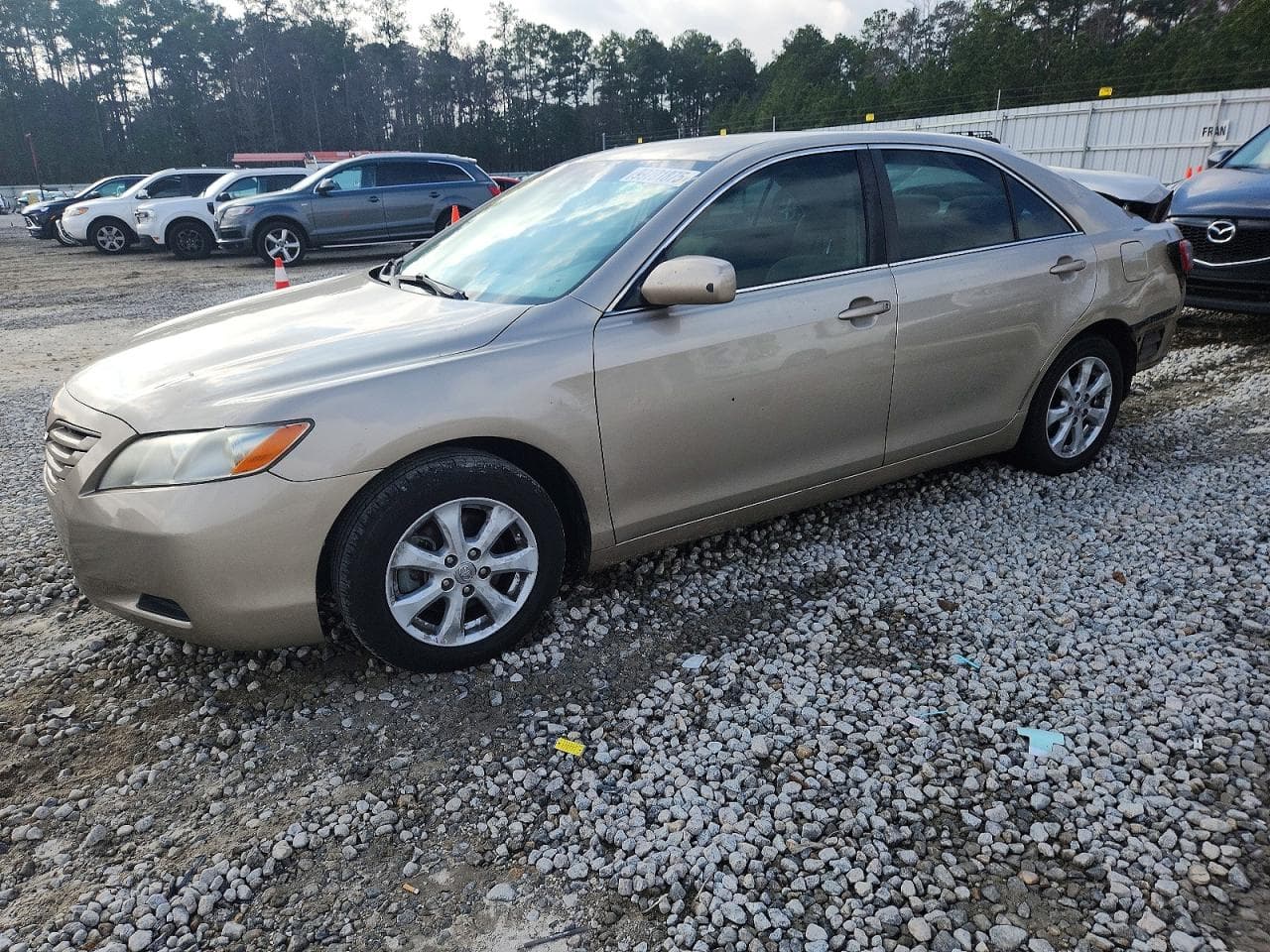 CAMRY