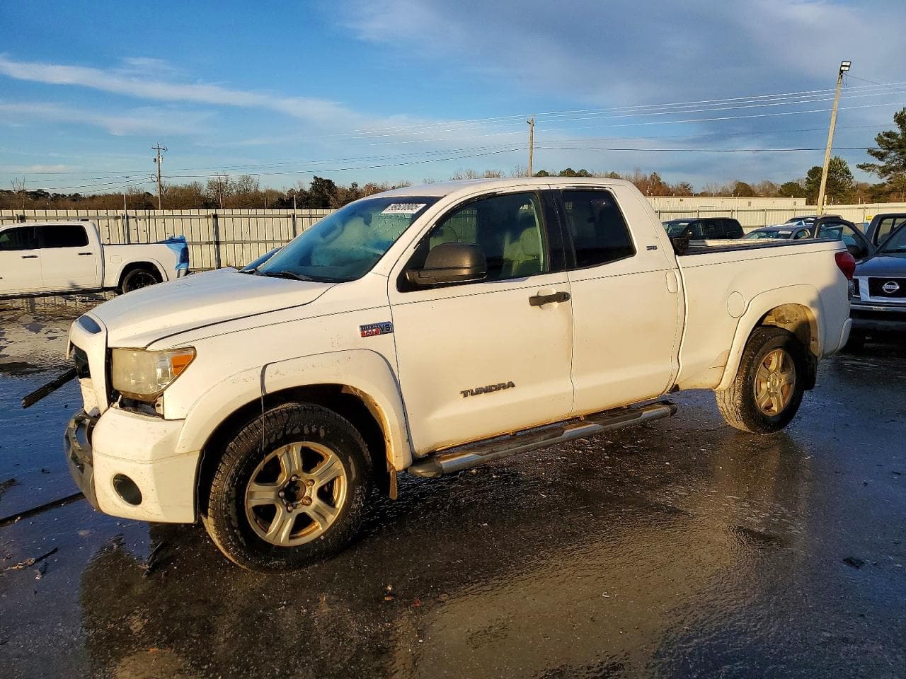 TUNDRA