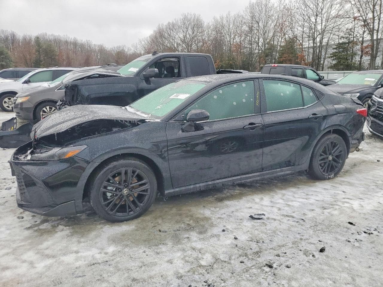 CAMRY