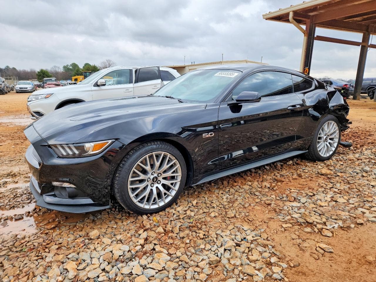 MUSTANG