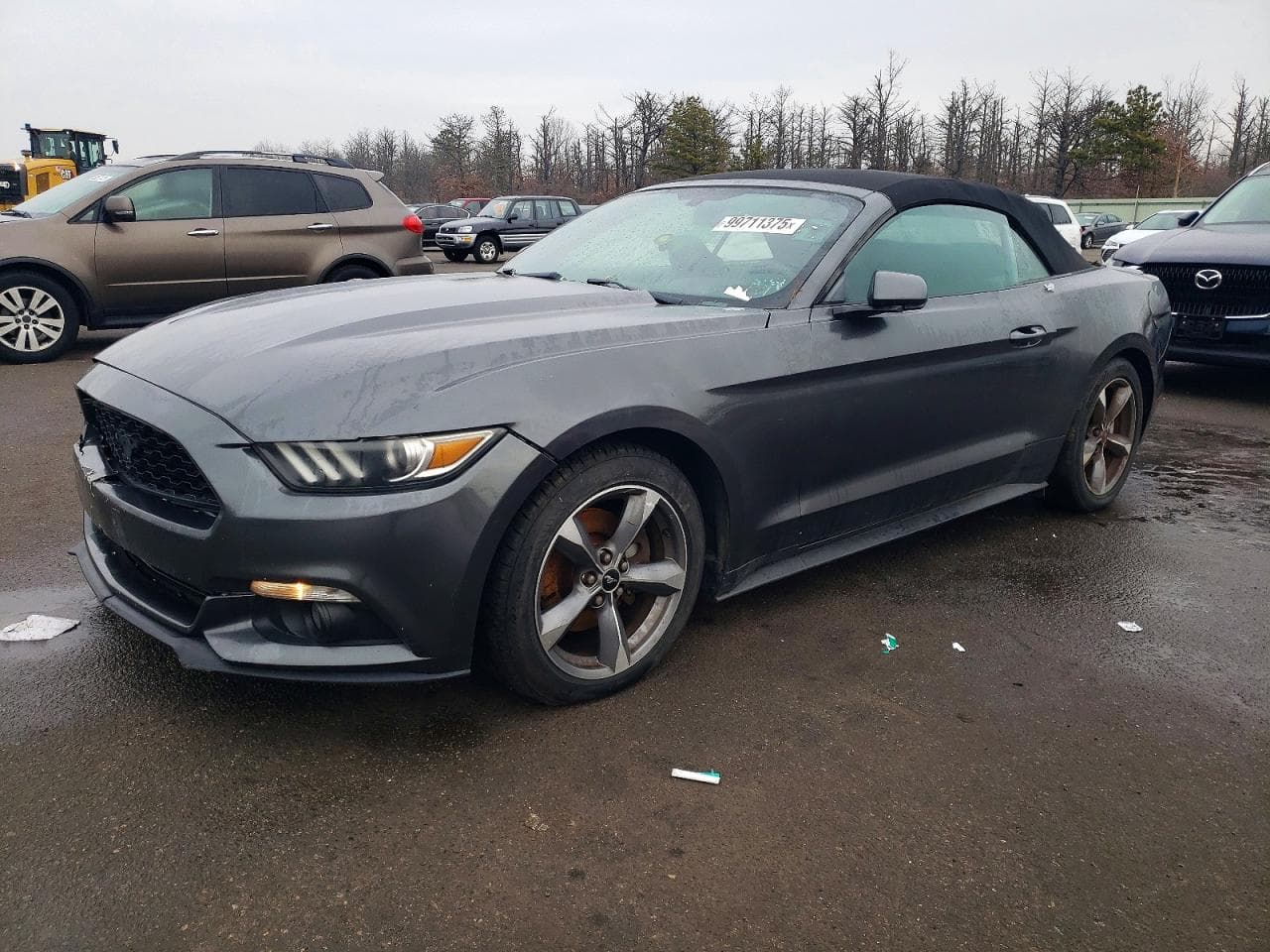 MUSTANG