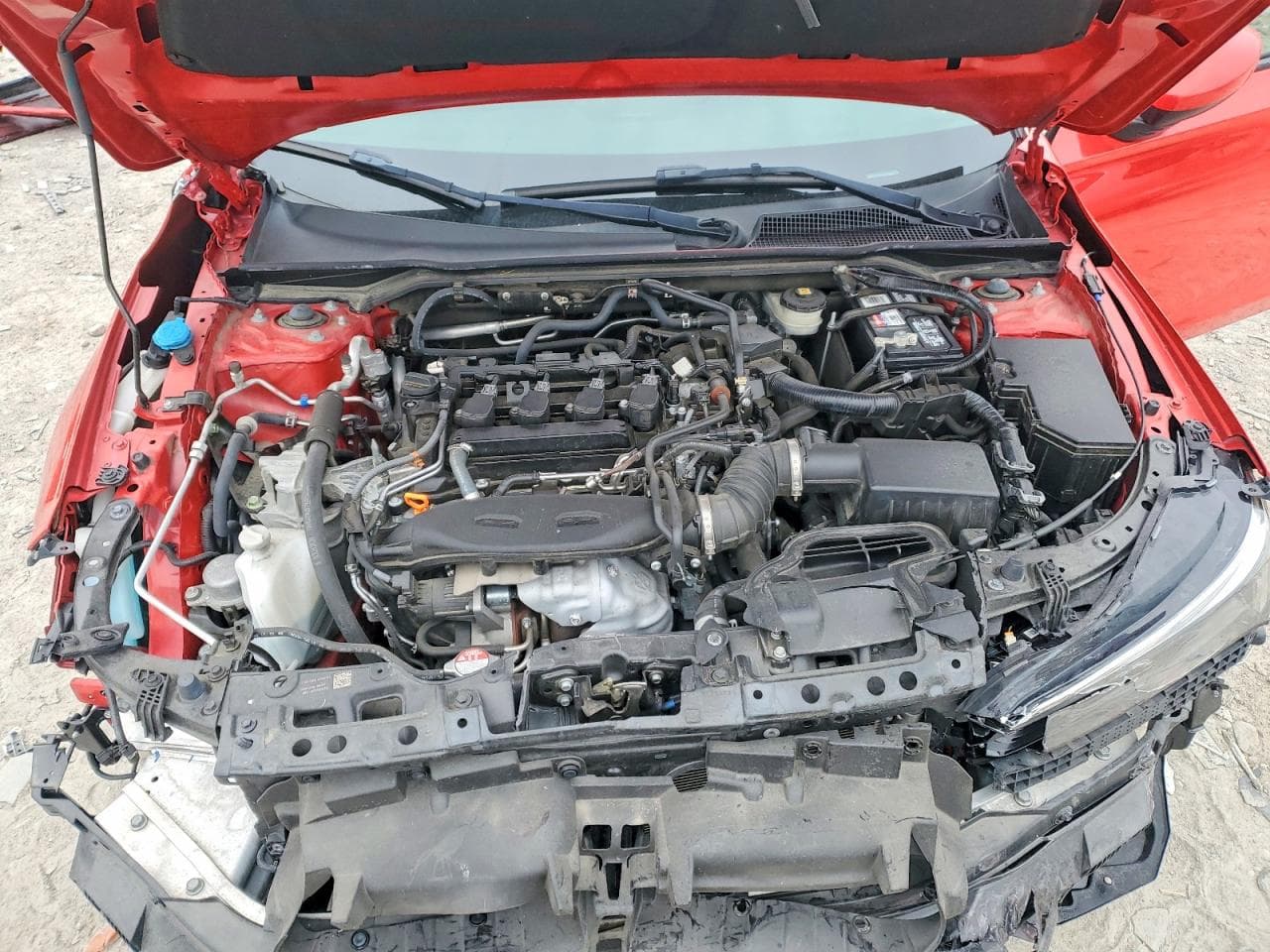 Foto 11