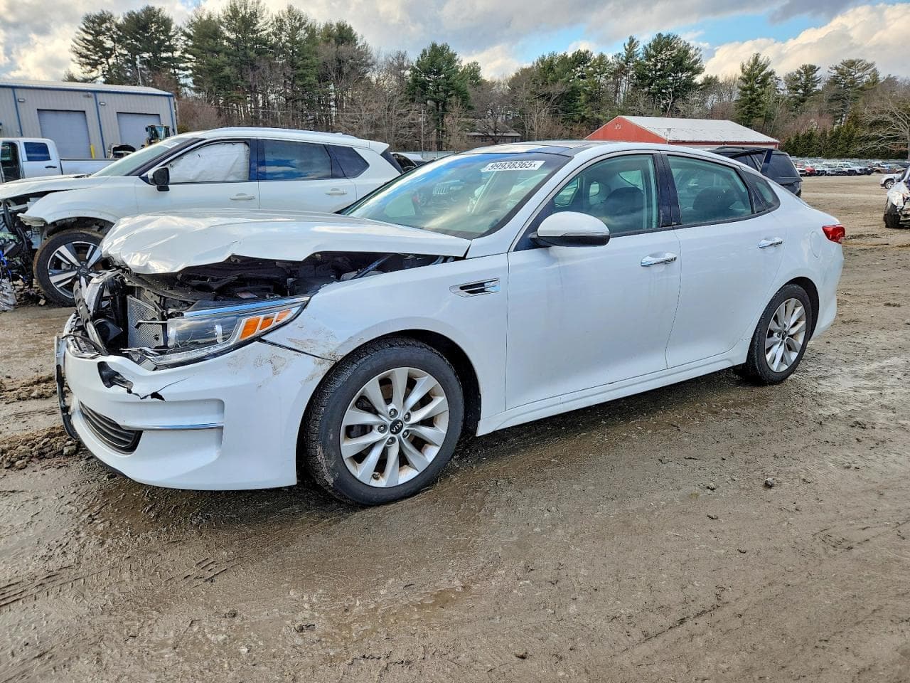 OPTIMA