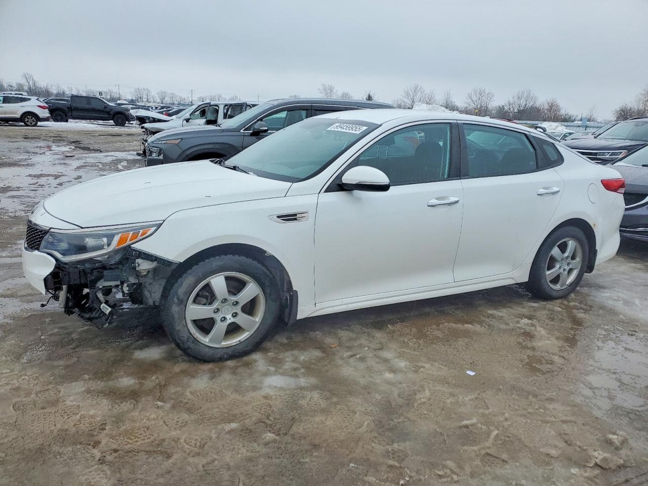 OPTIMA