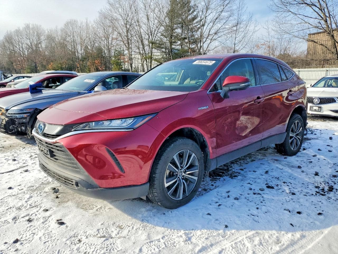 VENZA