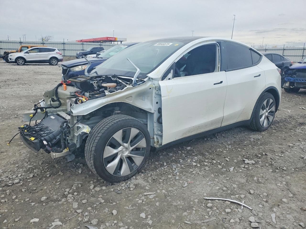 MODEL Y
