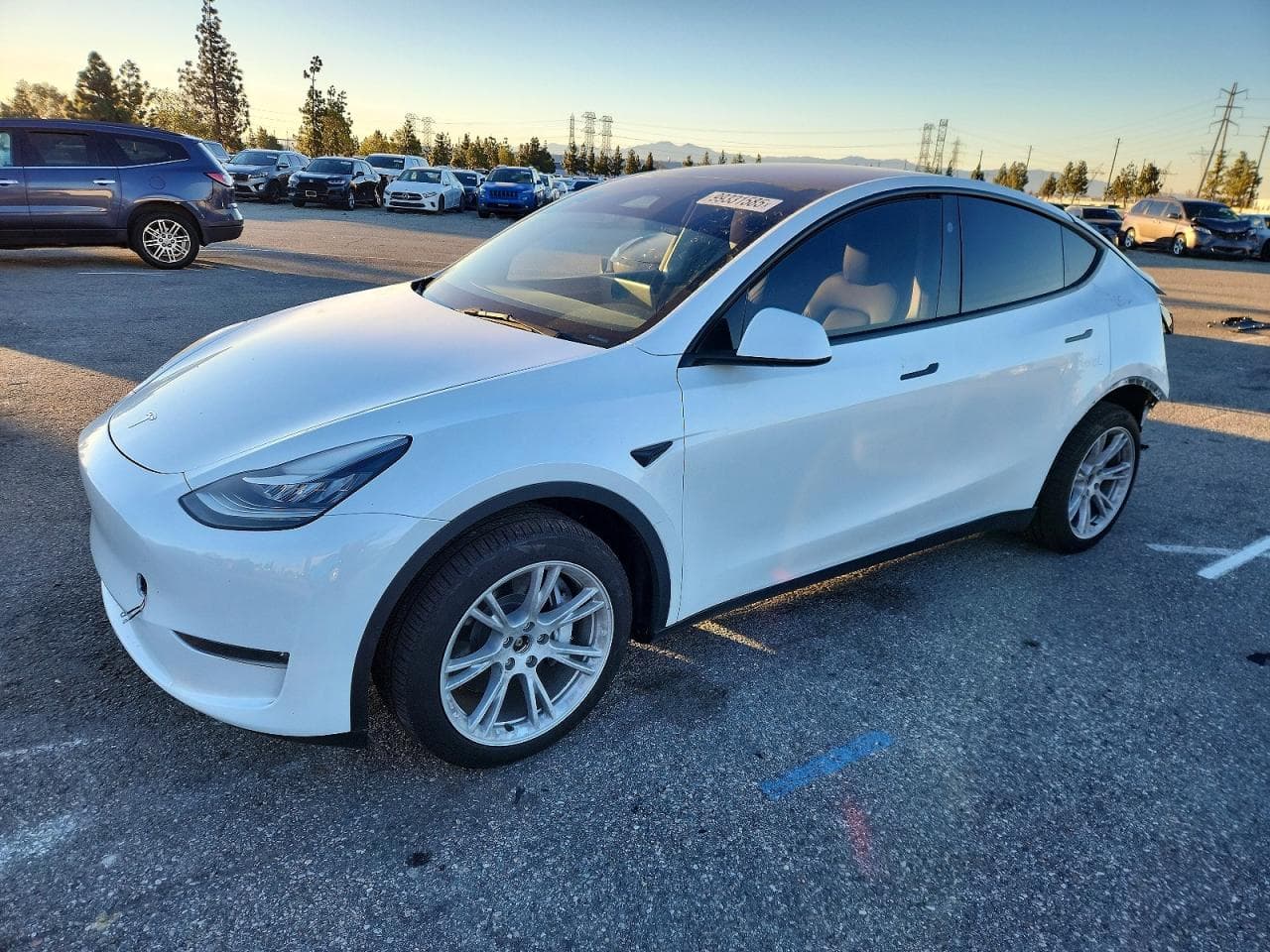 MODEL Y
