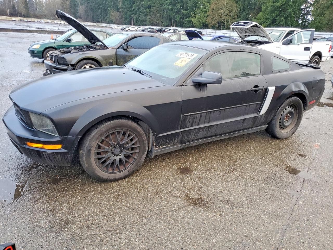 MUSTANG