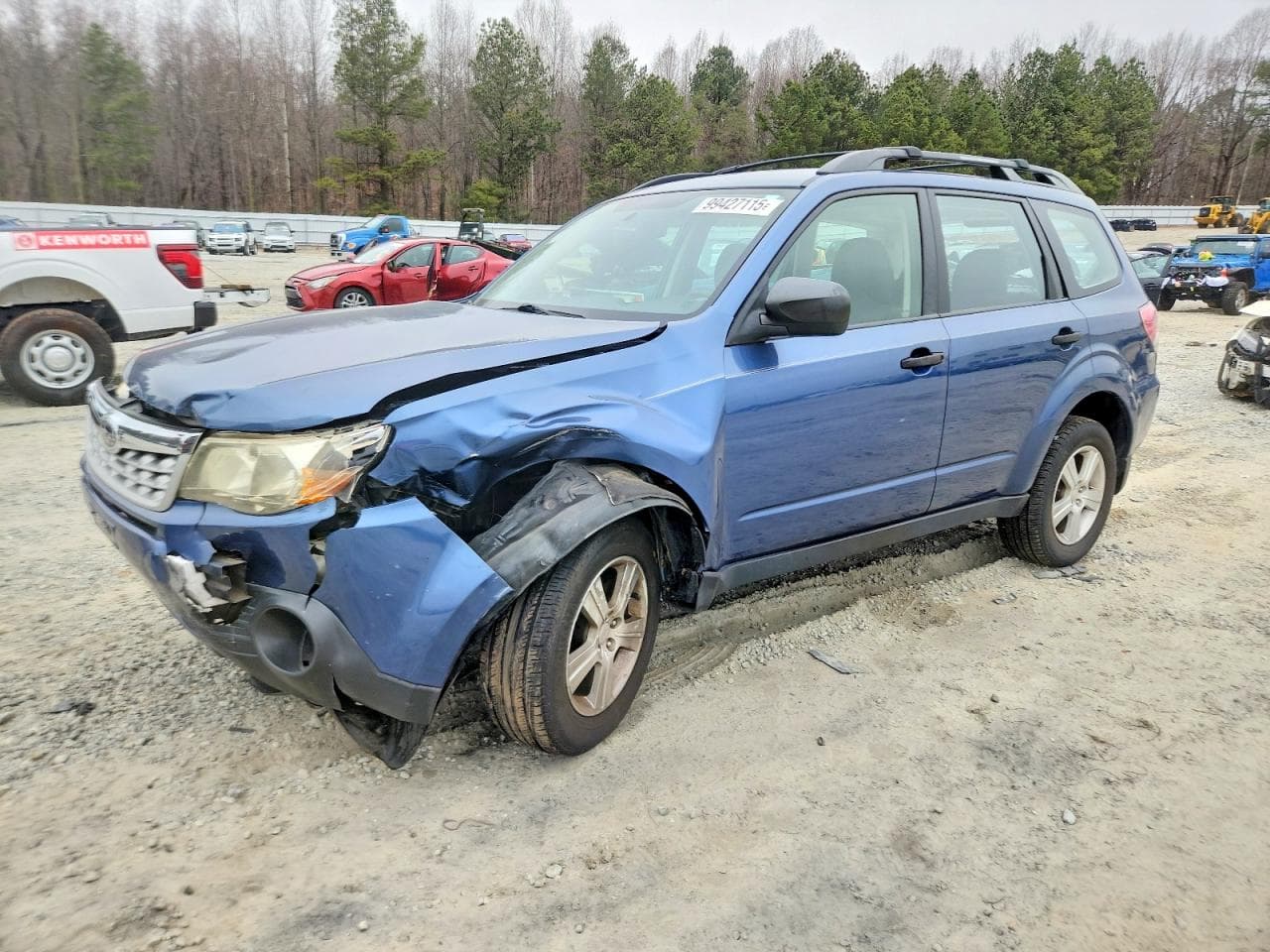 FORESTER