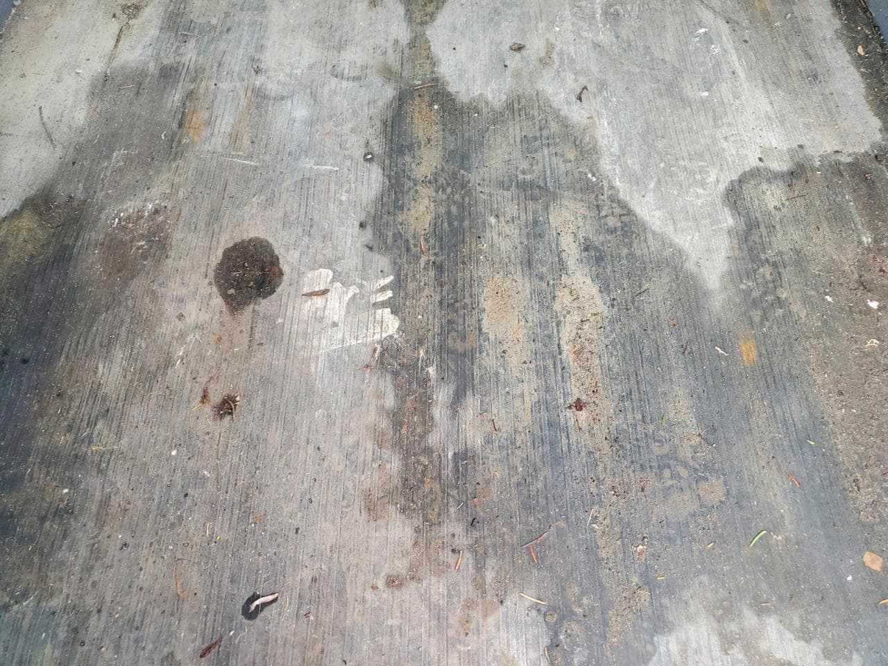 Foto 10