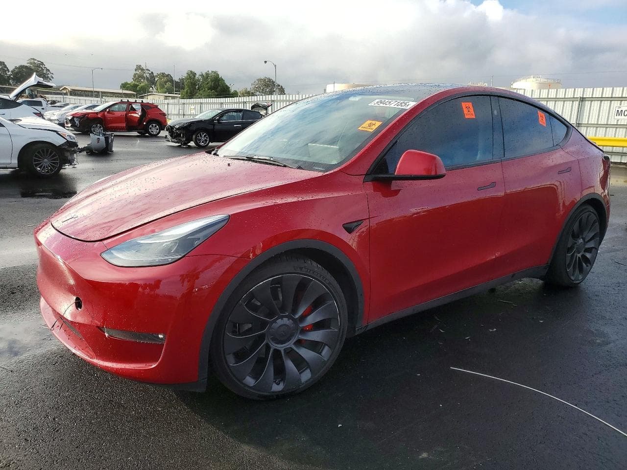 MODEL Y