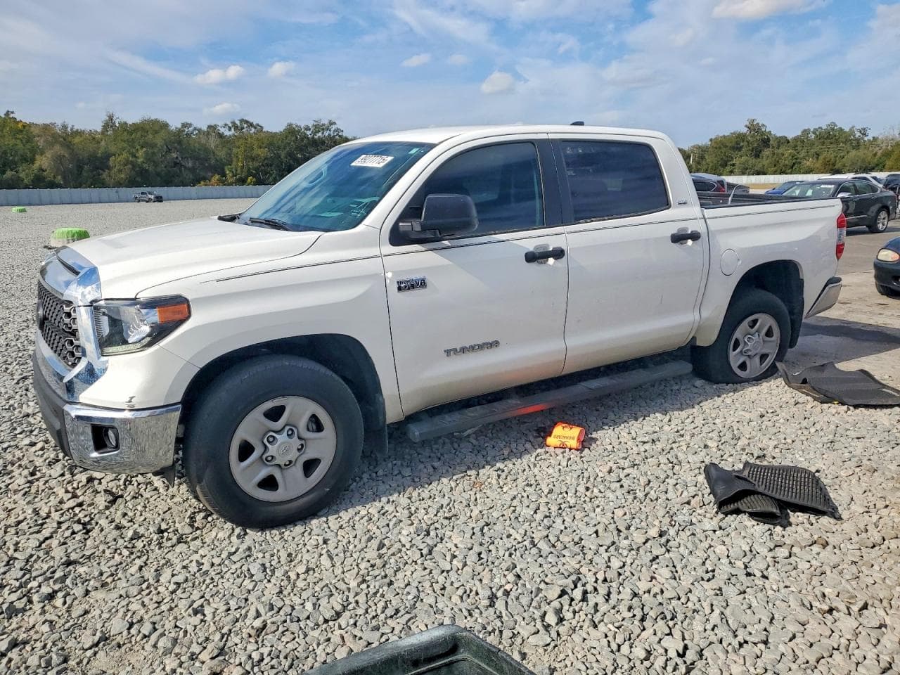 TUNDRA