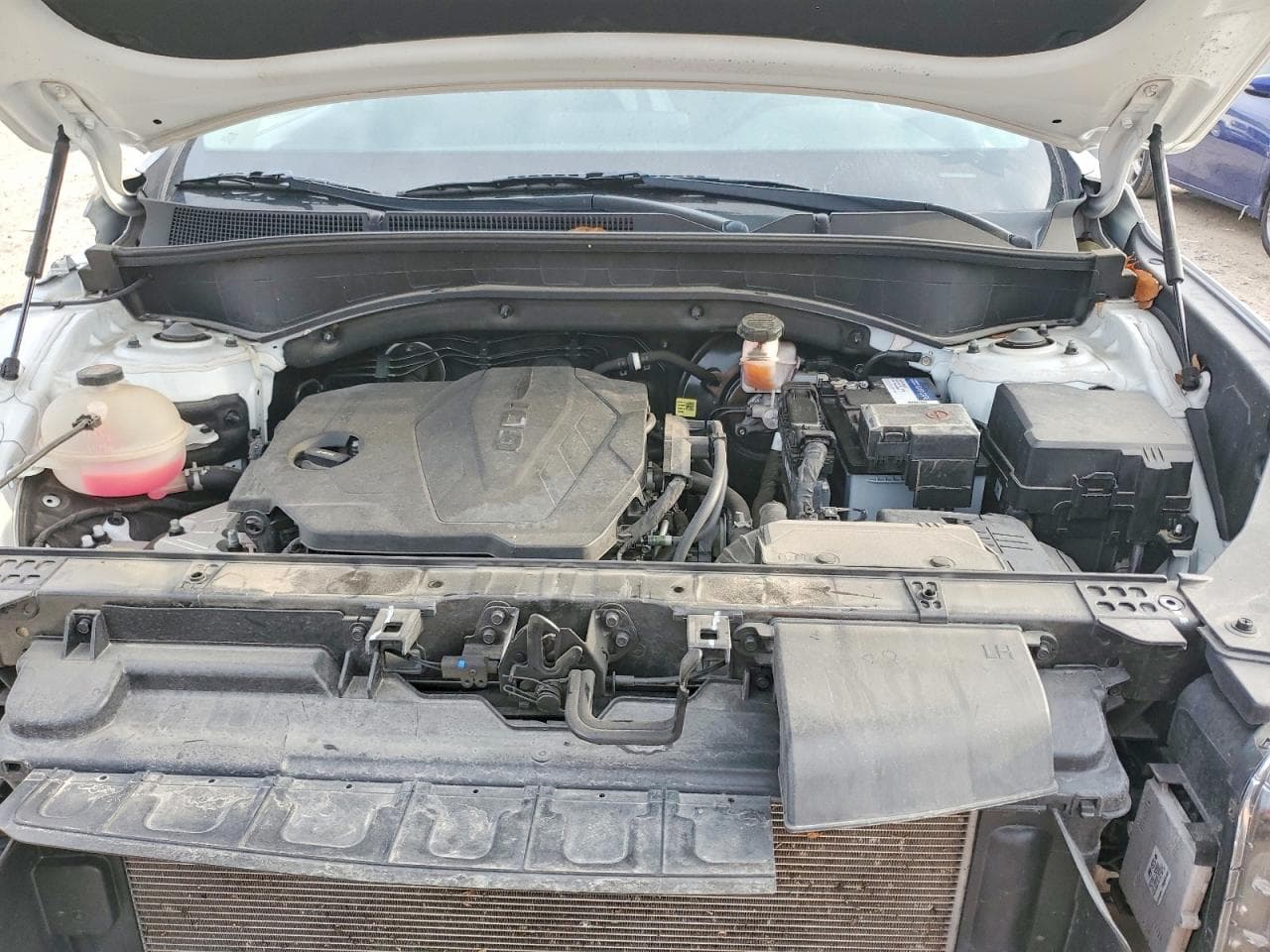 Foto 11
