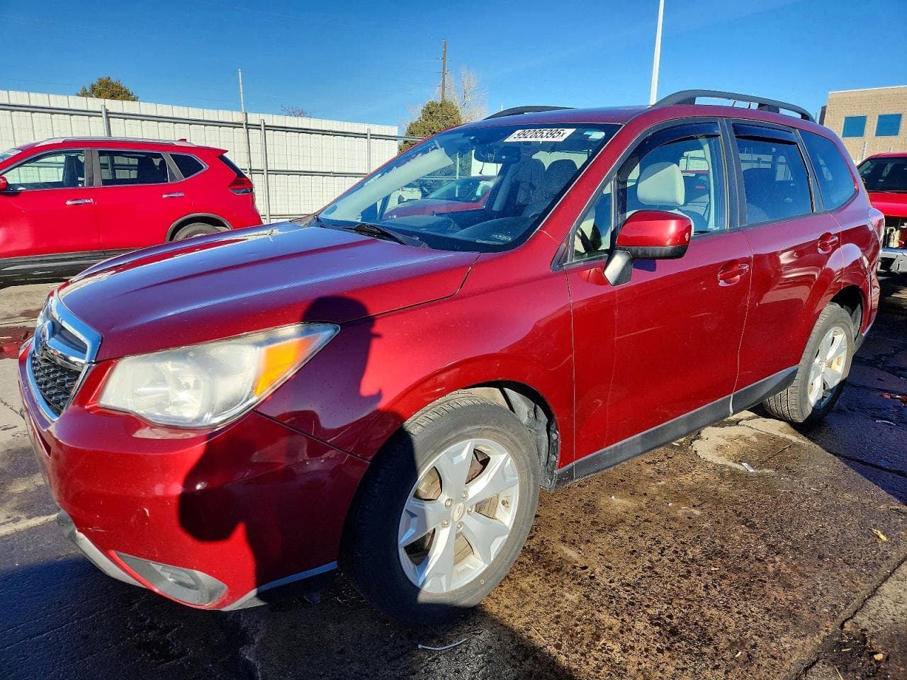 FORESTER