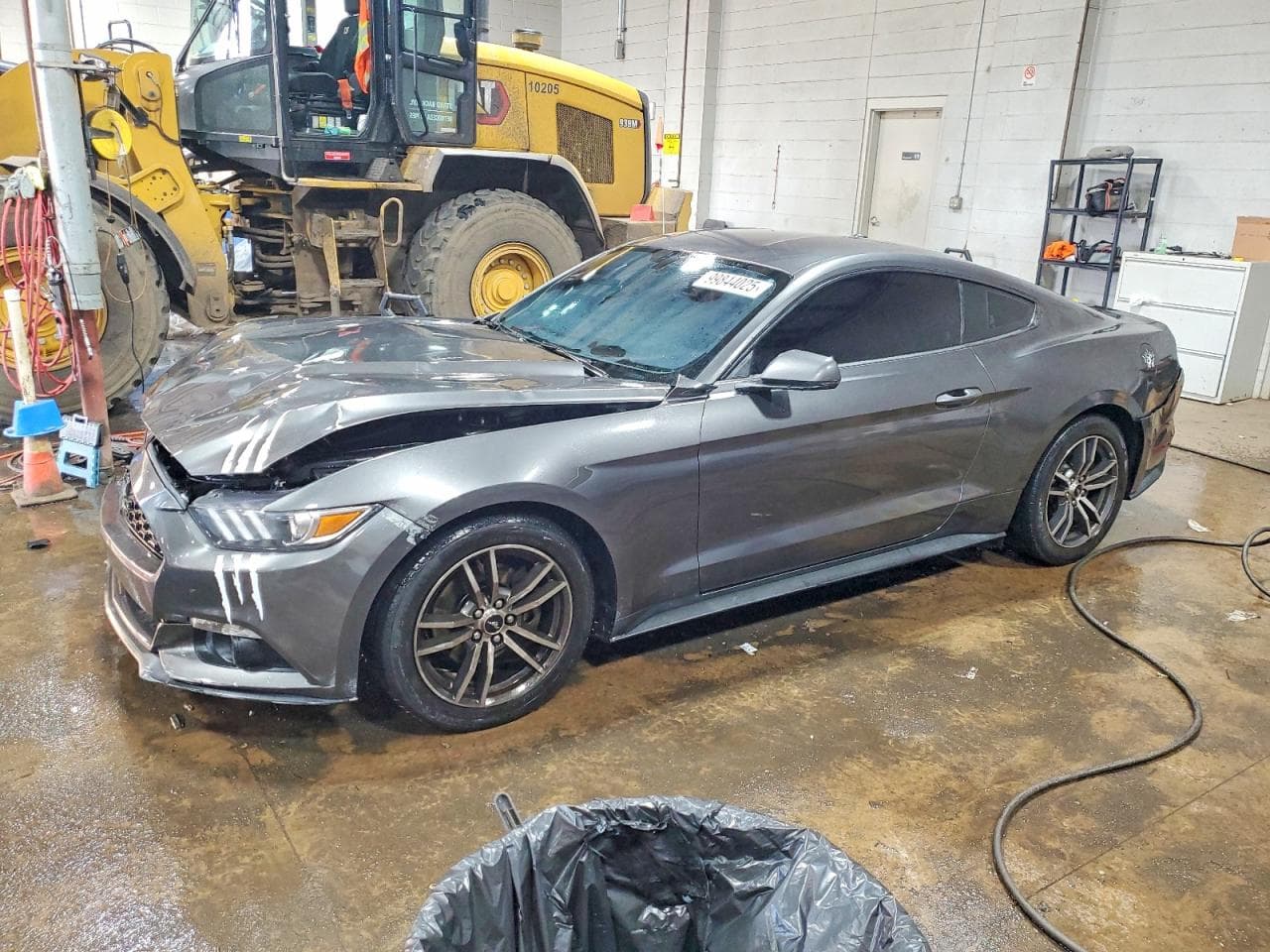 MUSTANG