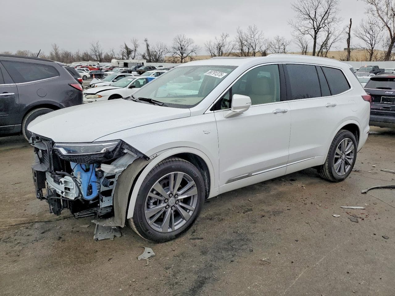 XT6 PLATIN