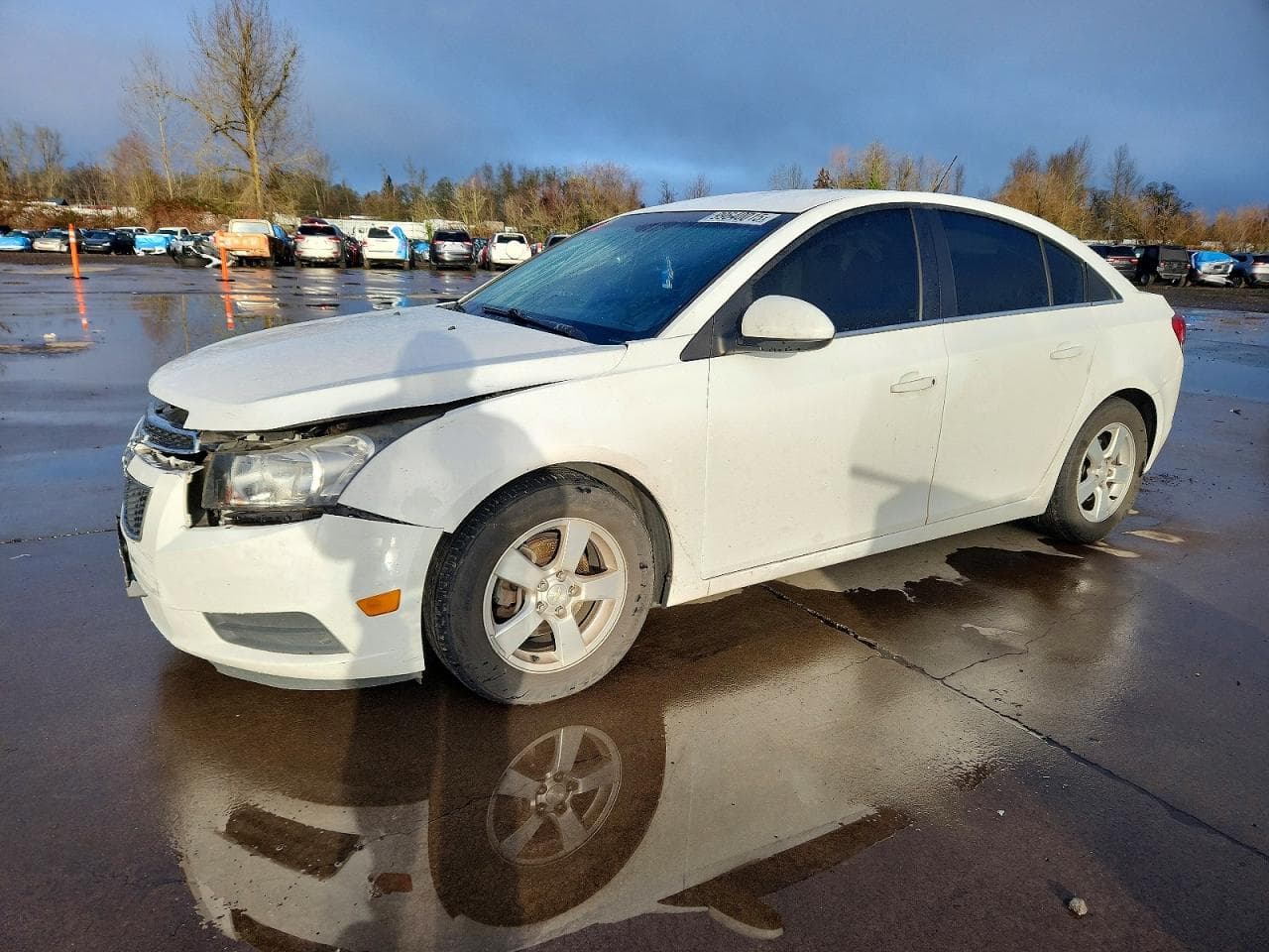 CRUZE