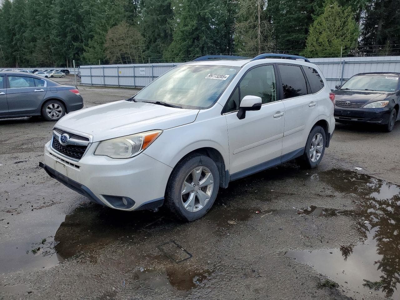 FORESTER