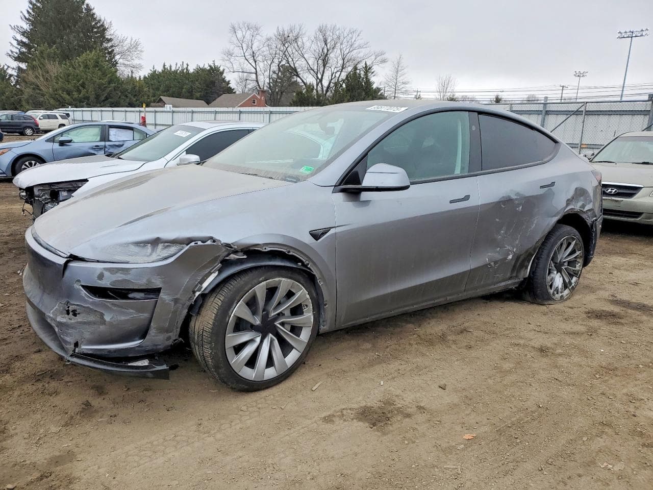 MODEL Y