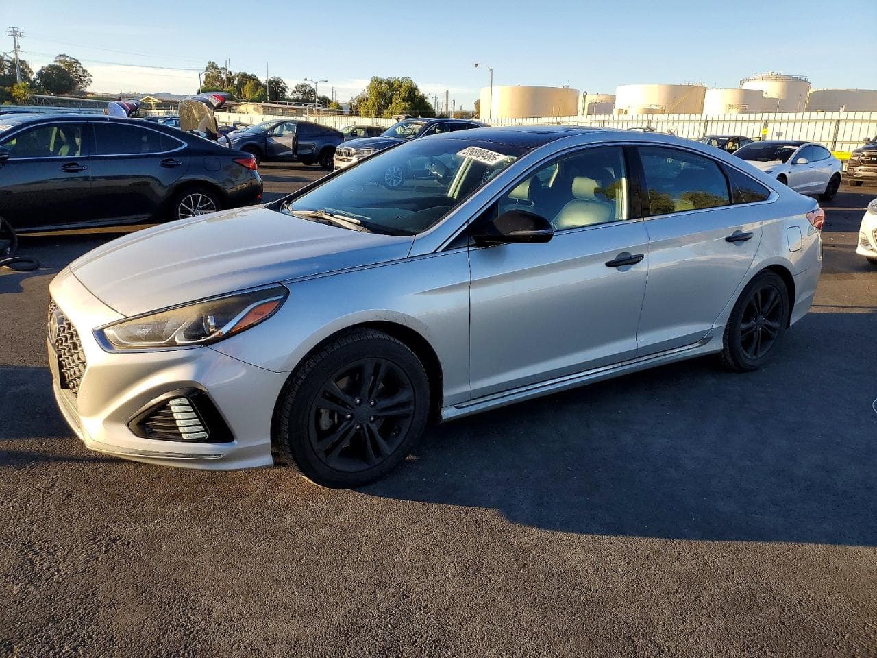 SONATA