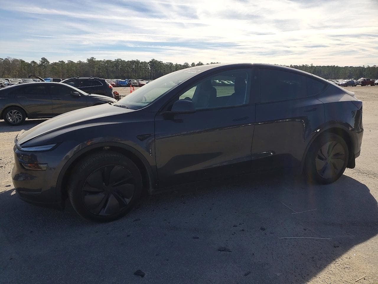 MODEL Y