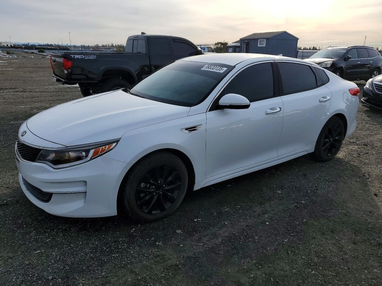 OPTIMA