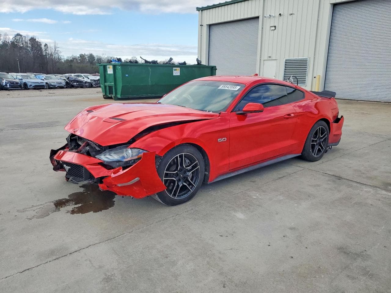 MUSTANG