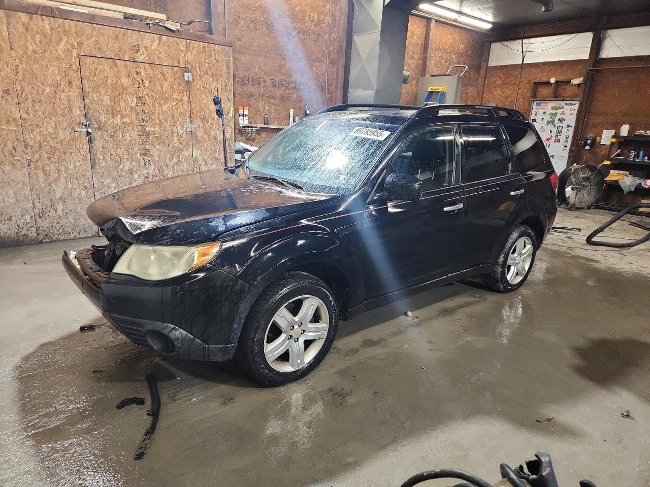 FORESTER