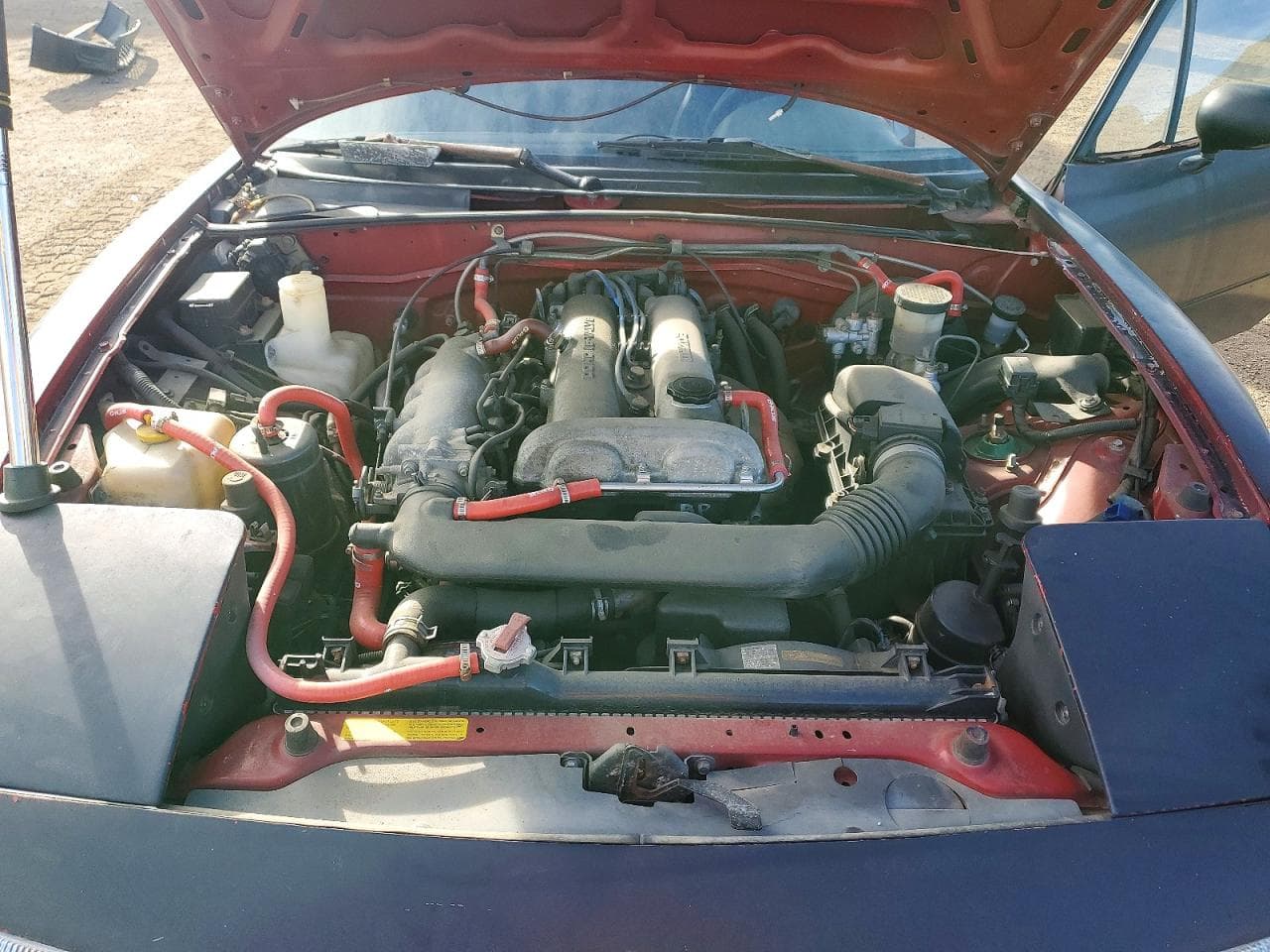 Foto 11