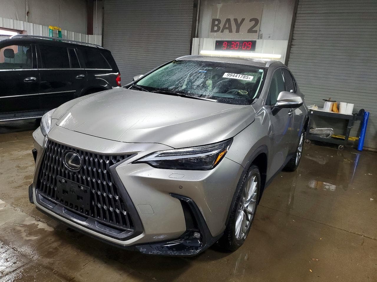 NX 350 LUX