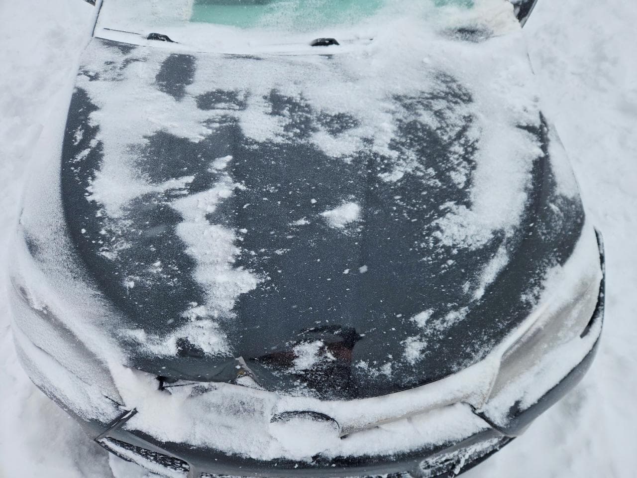 Foto 11