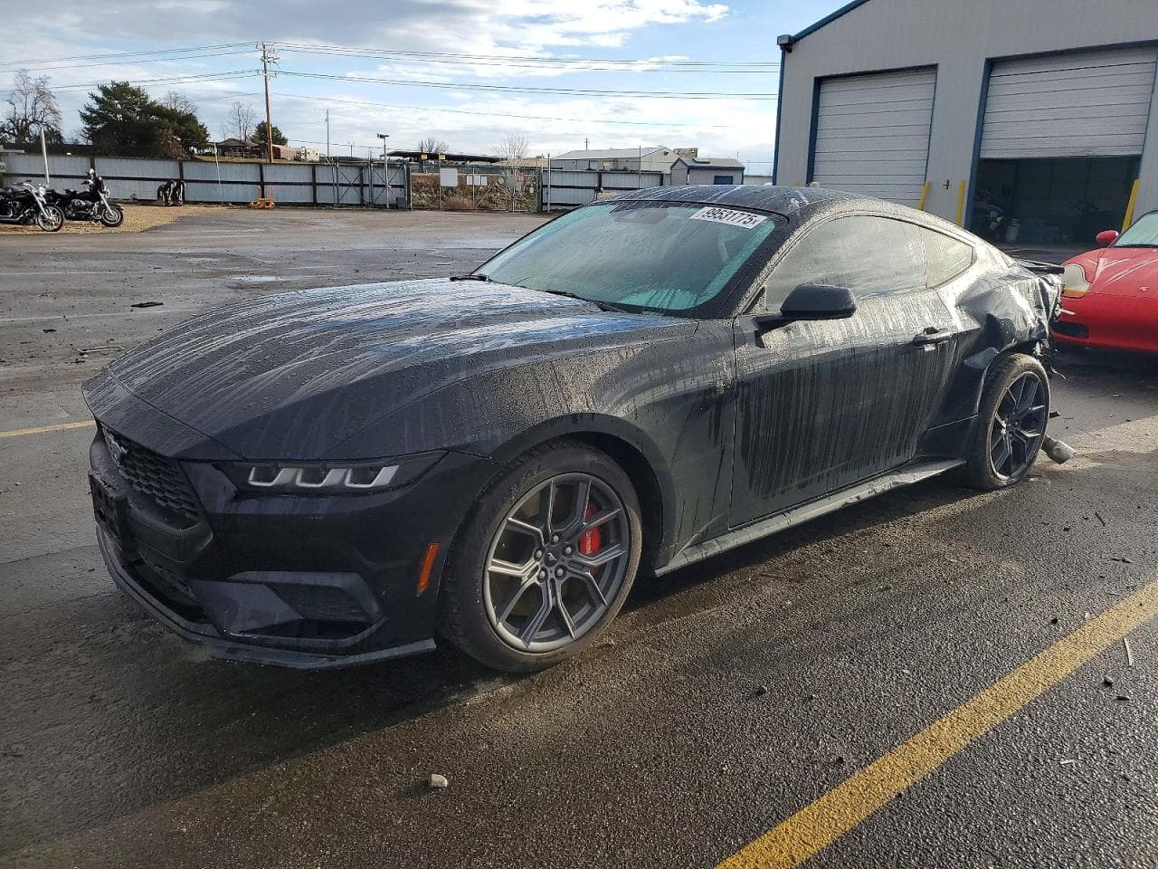 MUSTANG