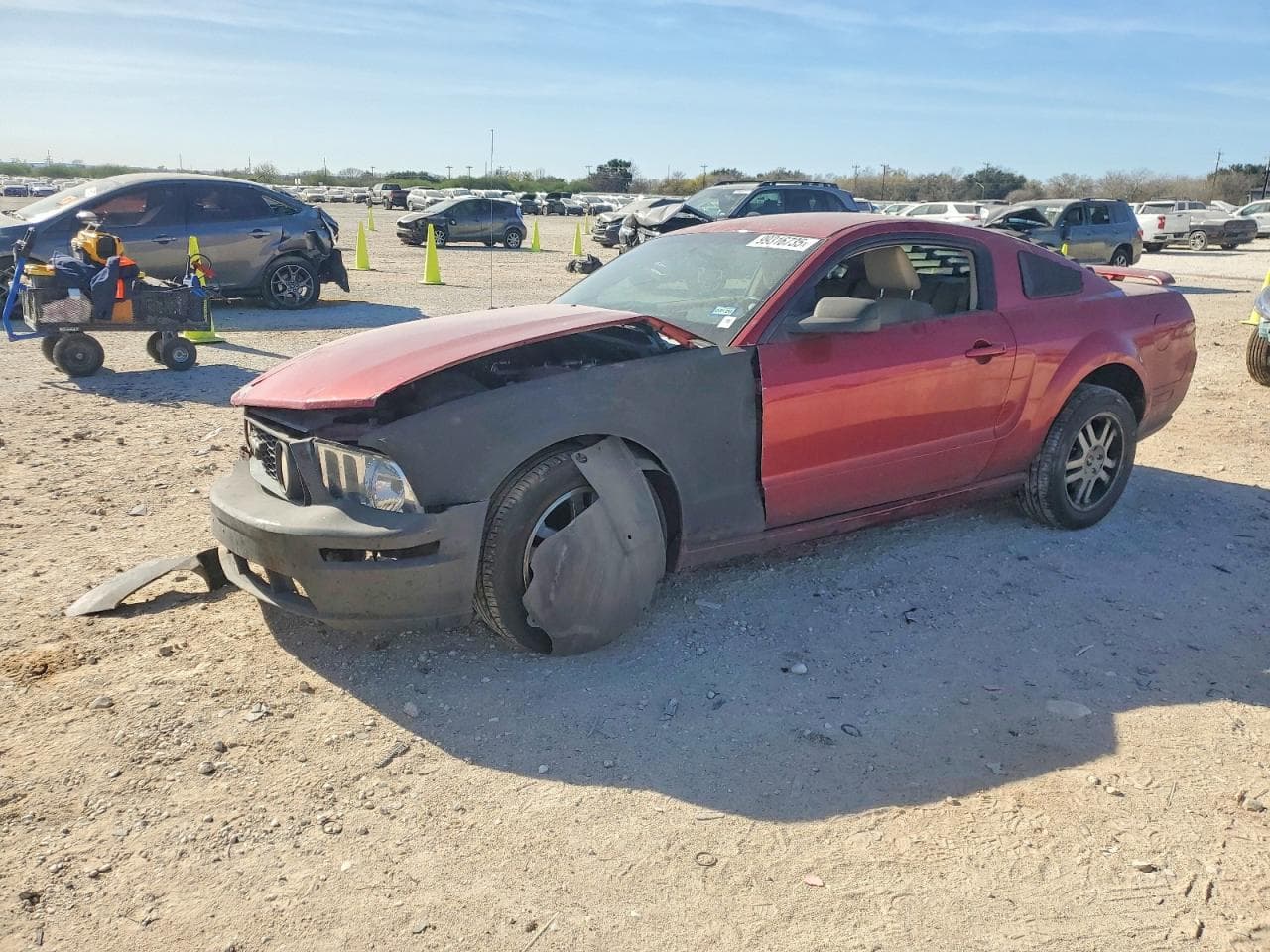 MUSTANG
