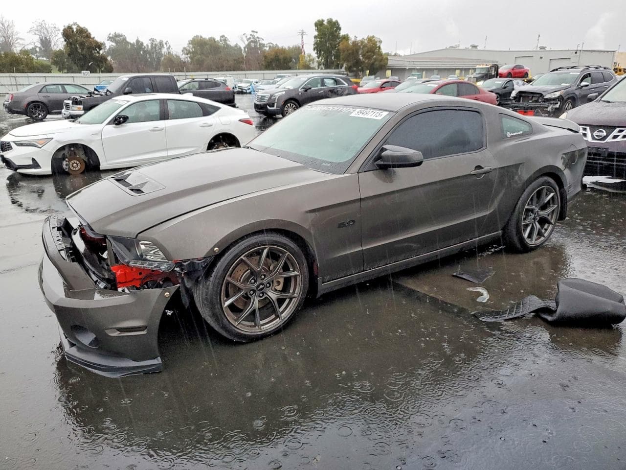 MUSTANG