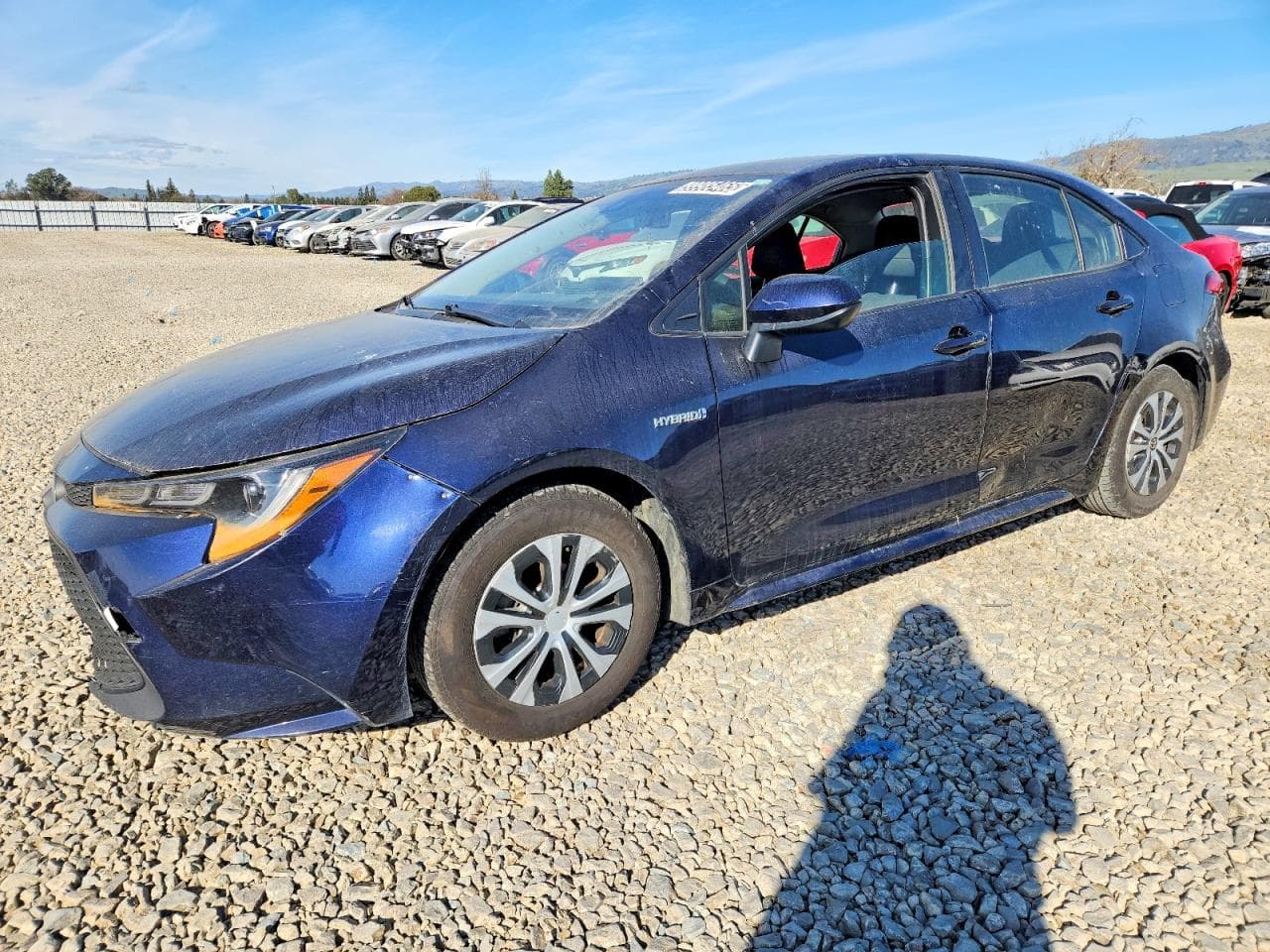 COROLLA