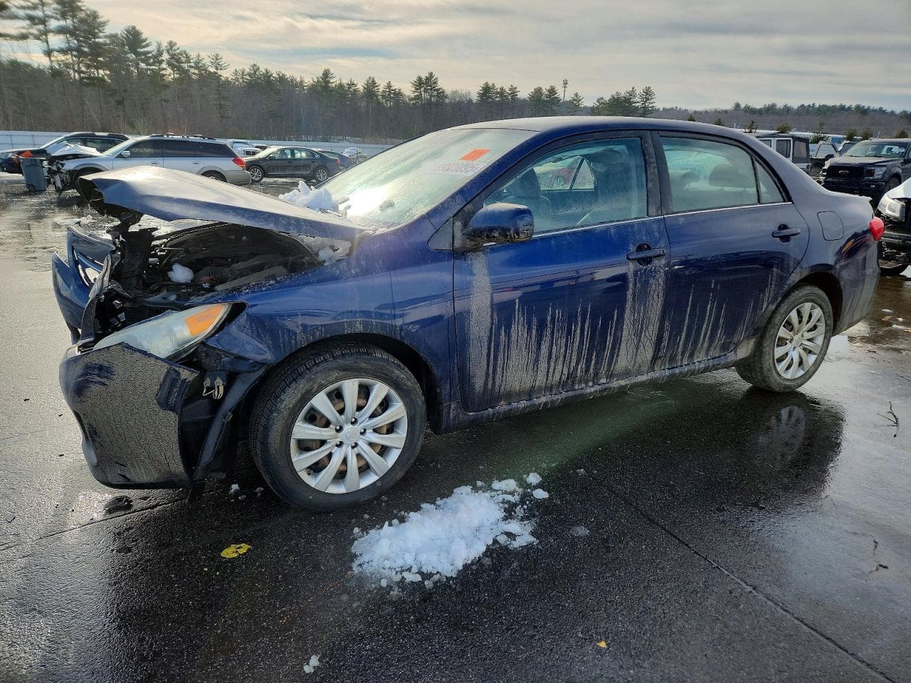 COROLLA