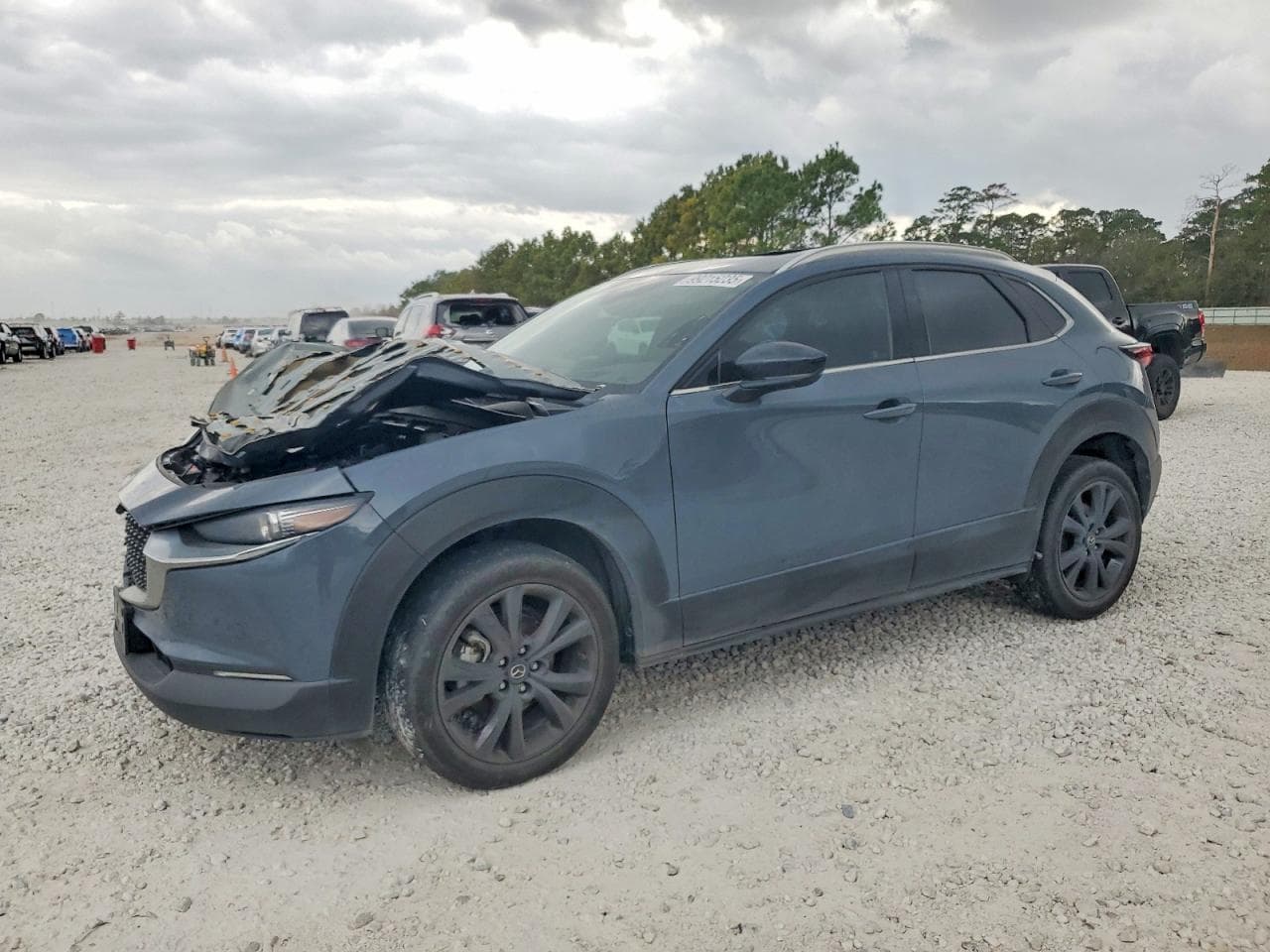 CX30