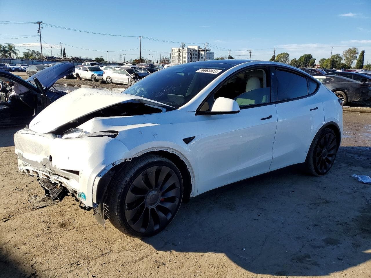 MODEL Y