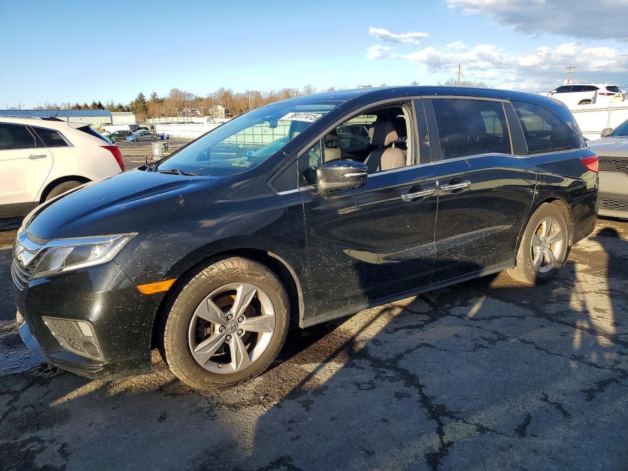 ODYSSEY EX