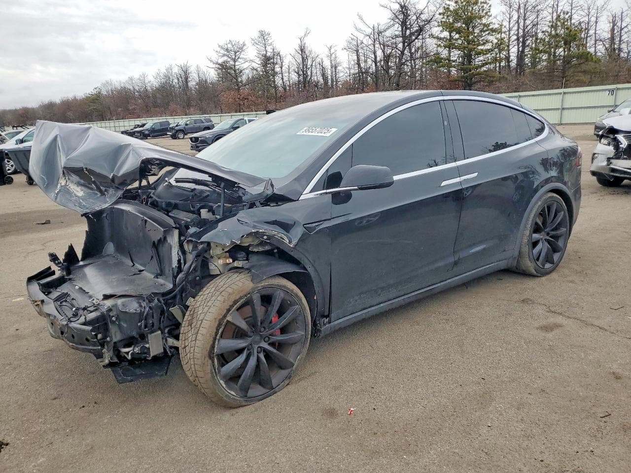 MODEL X