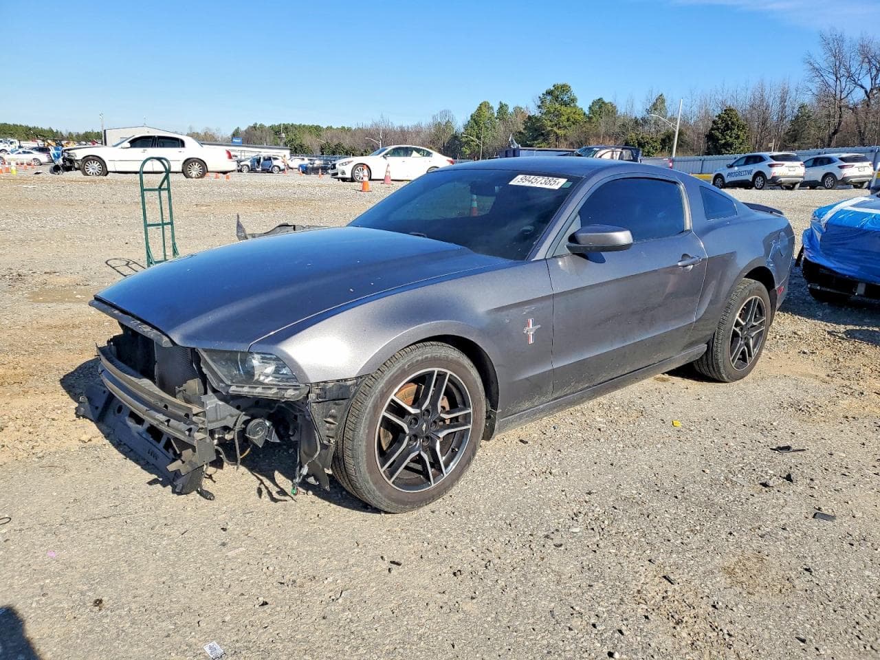 MUSTANG