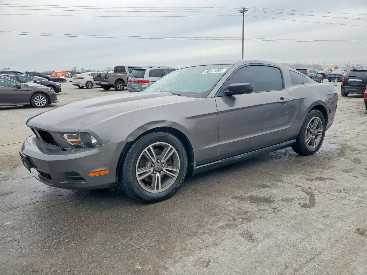 MUSTANG