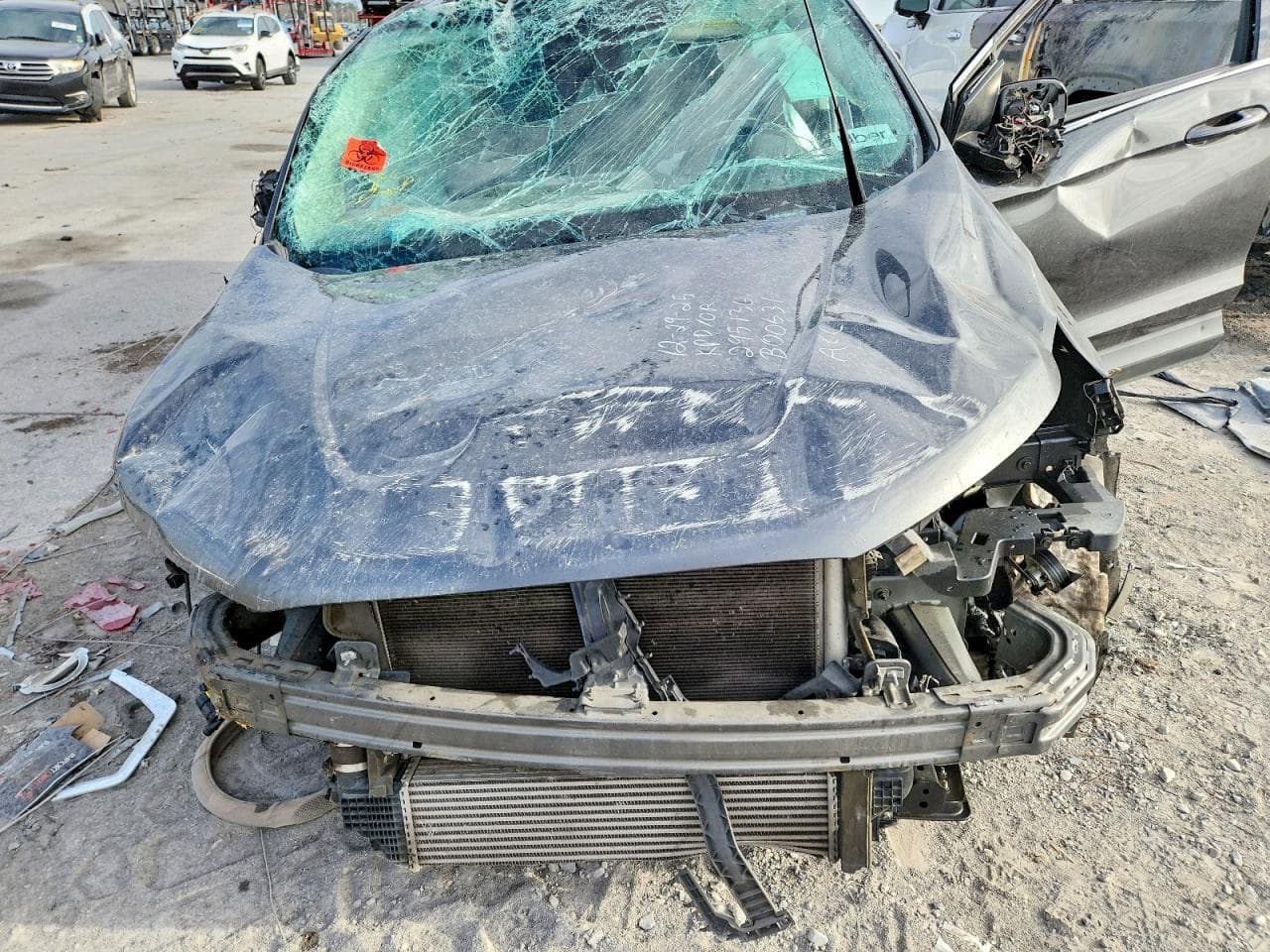 Foto 12