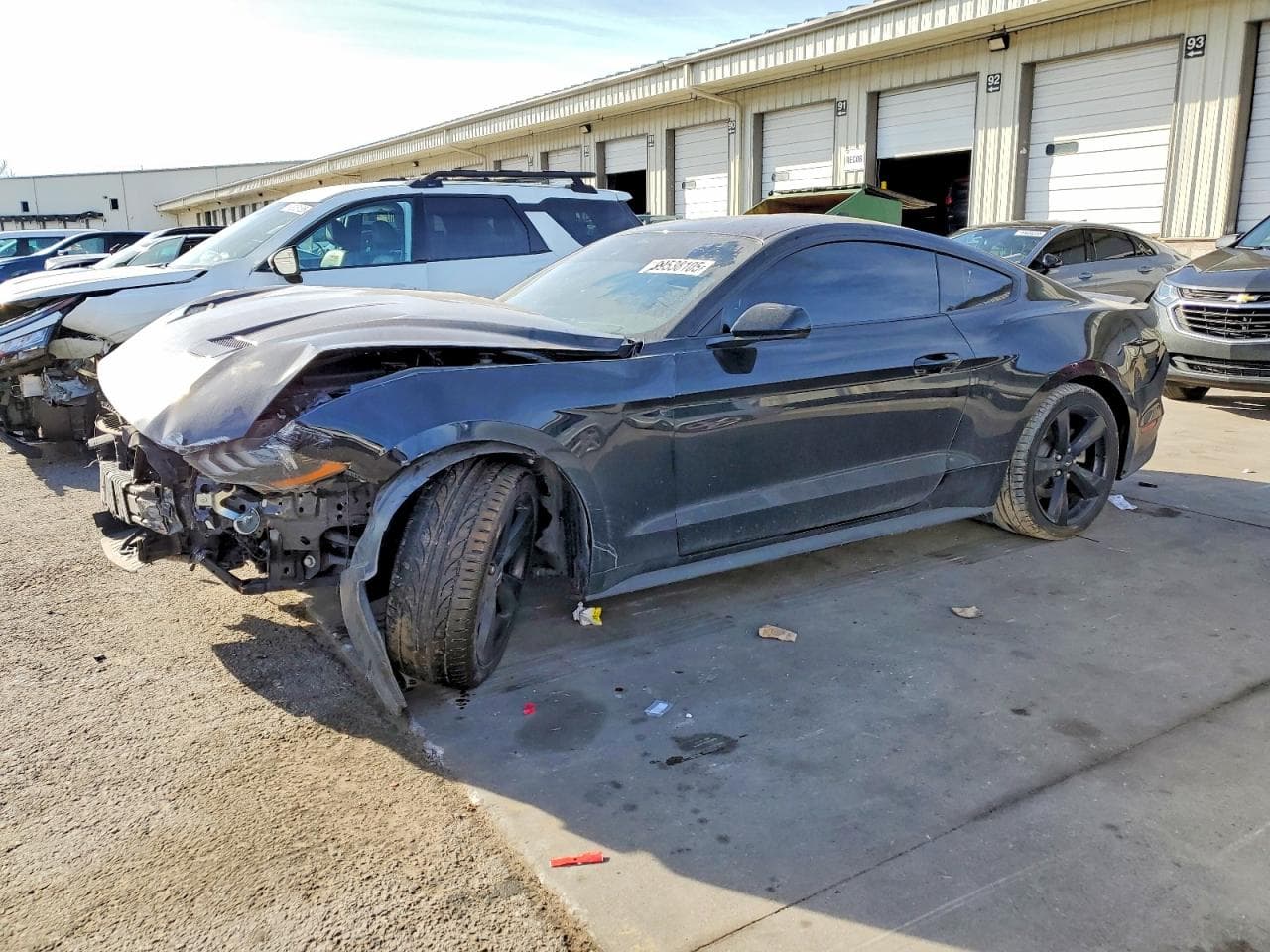 MUSTANG
