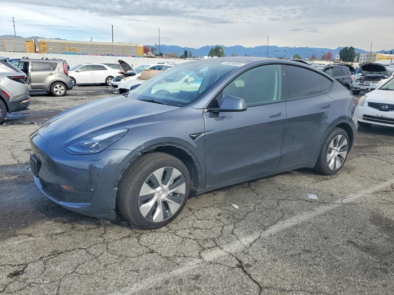 MODEL Y