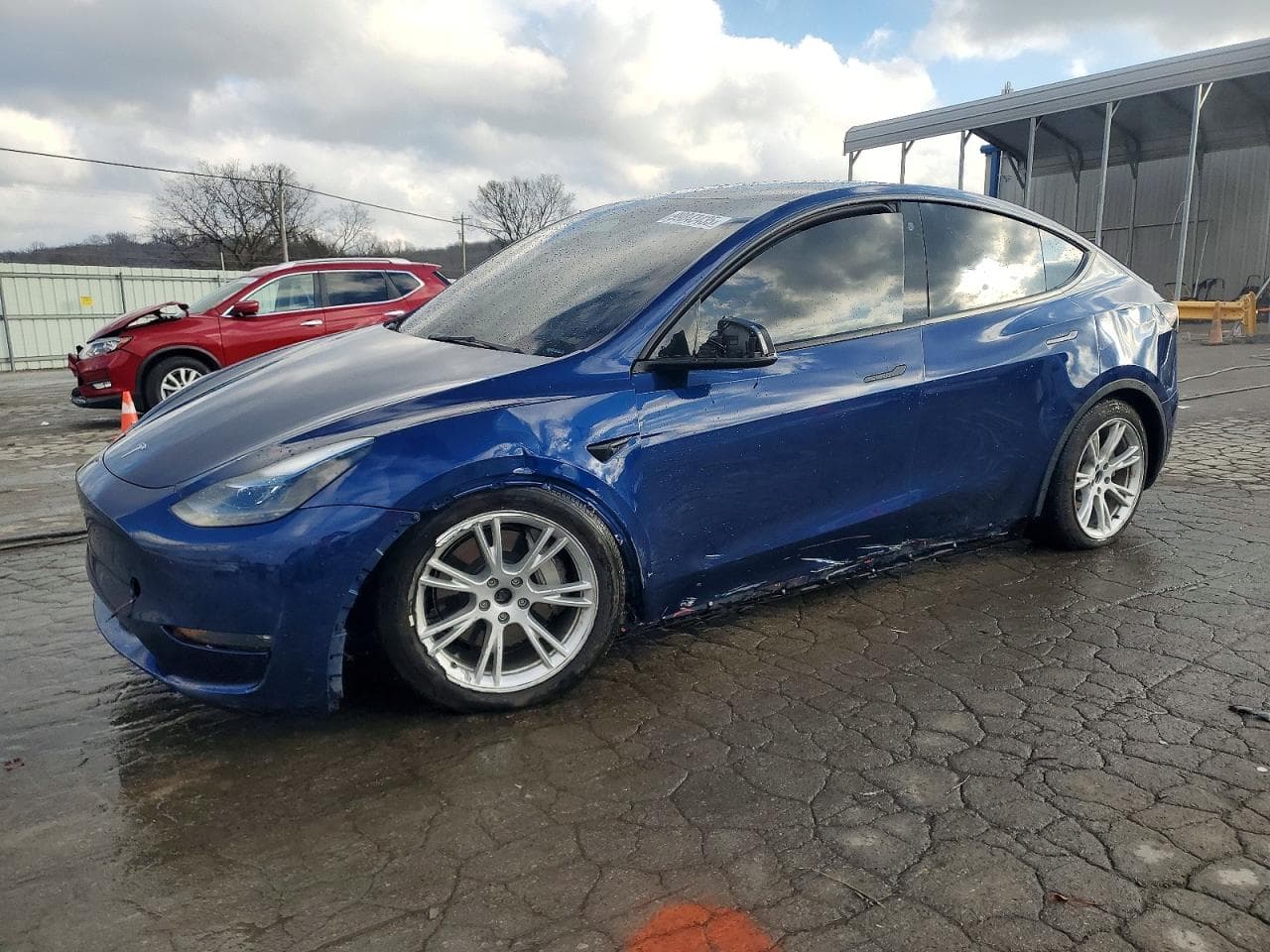 MODEL Y