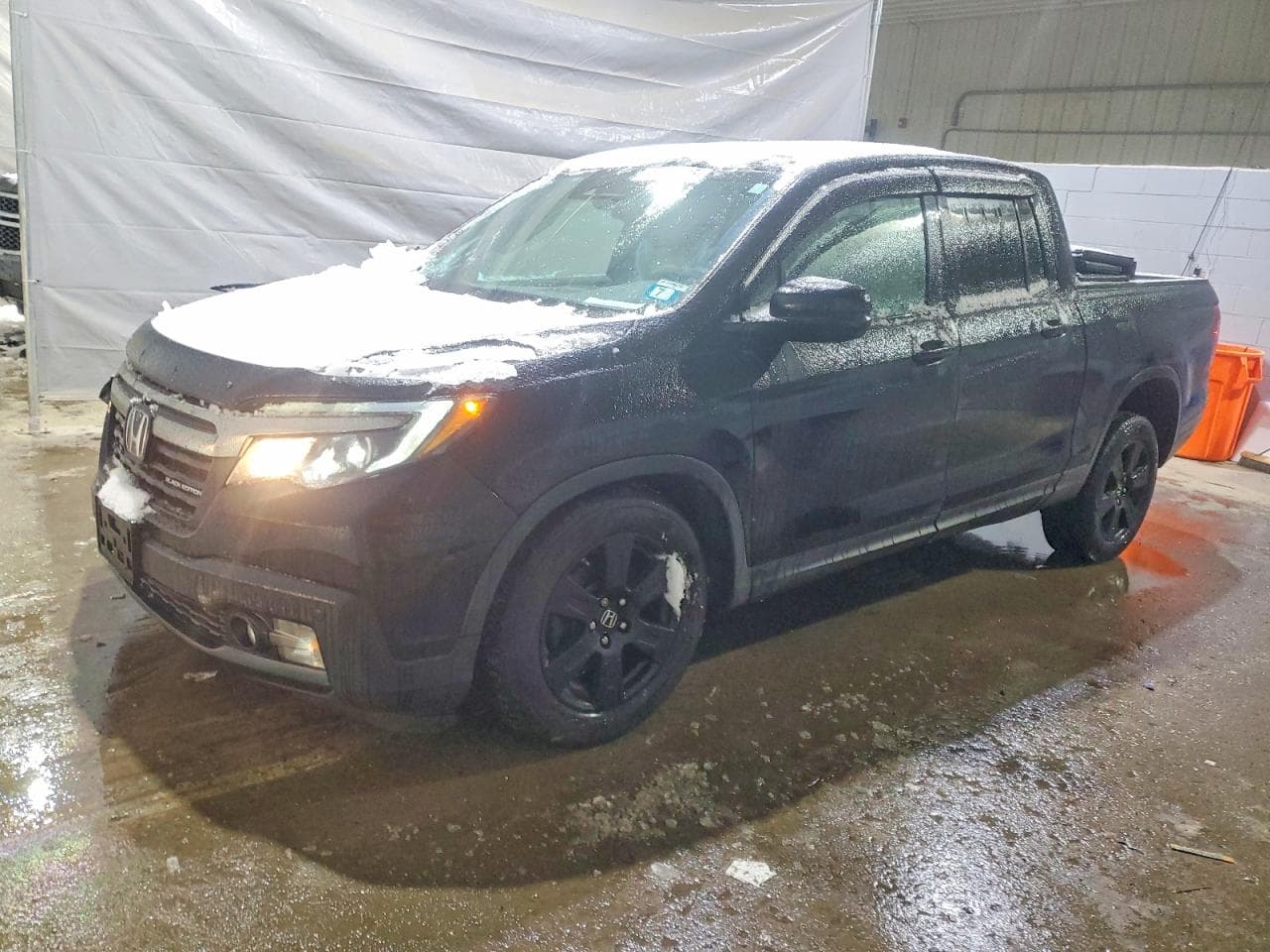 RIDGELINE